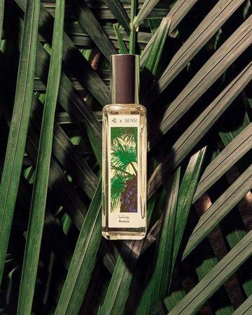 Jad Saudi Stories Rotana EDP