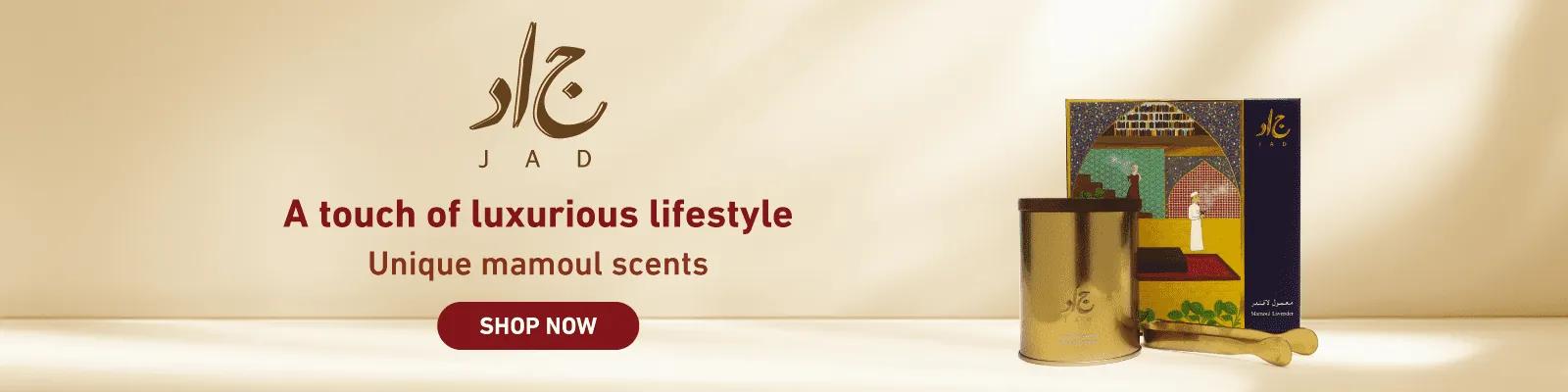 jad mamoul winter web-new-media