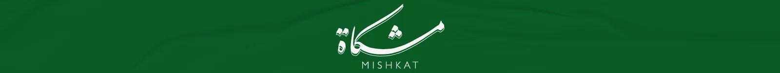 Strip mishkat SND25- Web-new-media