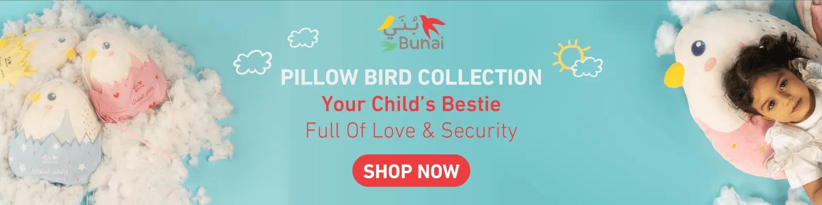 Pillow Bird BTS Web-new-media