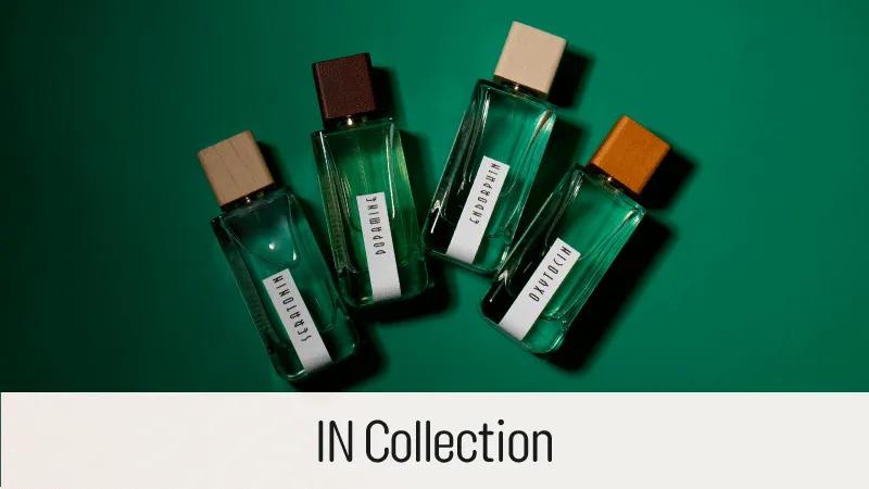 Jad in collection 2025 Aug - Web-new-media