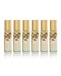 Jad Grow Khashab al-arz Cedarwood Unisex Roll-On Perfume 10 ml (Pack-of-6)